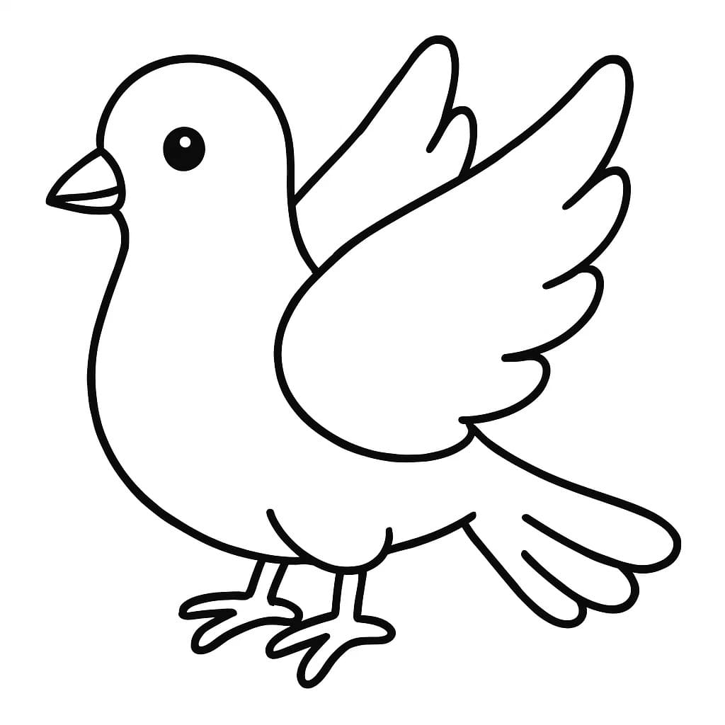 Holub zdarma prostý omalovánka