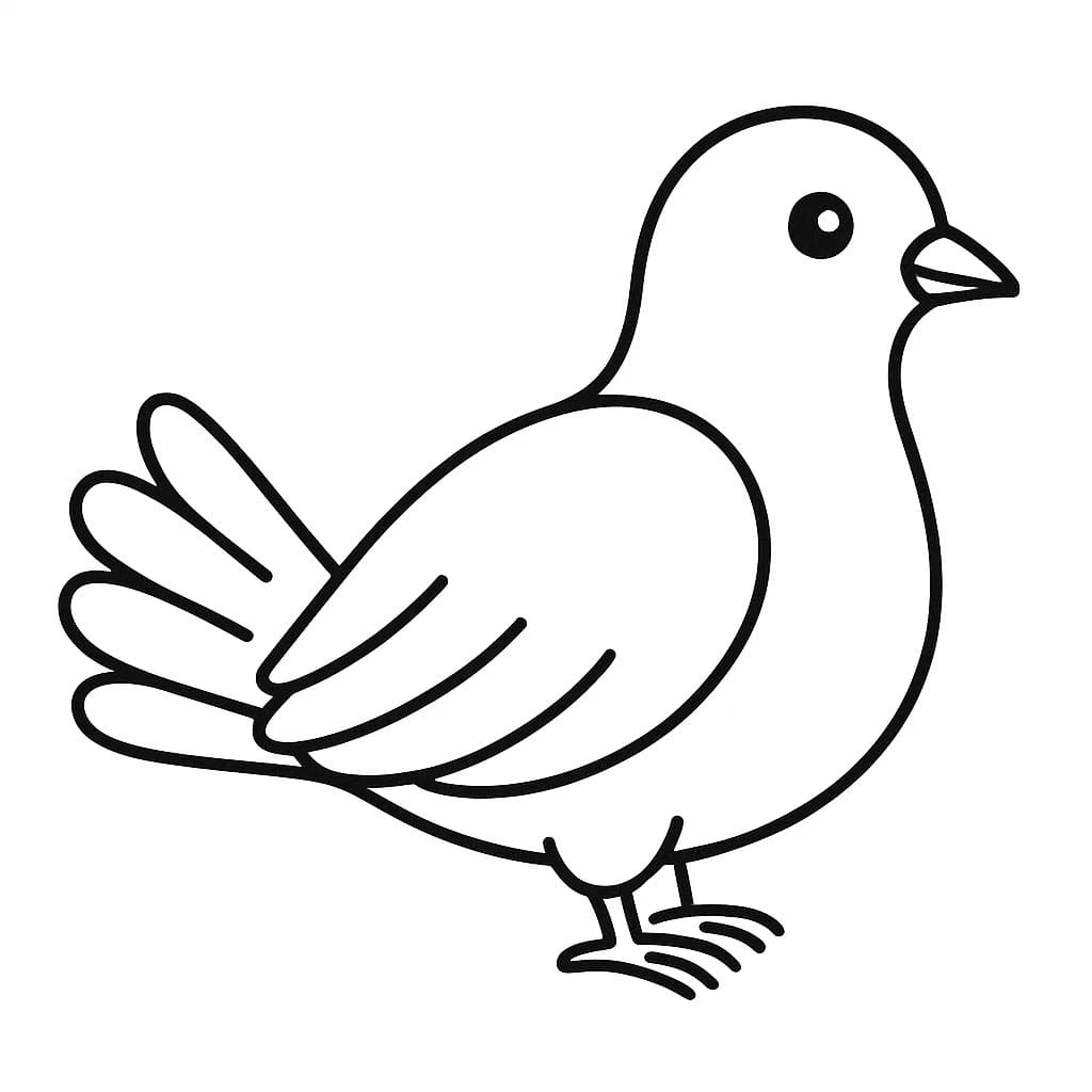 Holub zdarma snadný tisknutelné omalovánka
