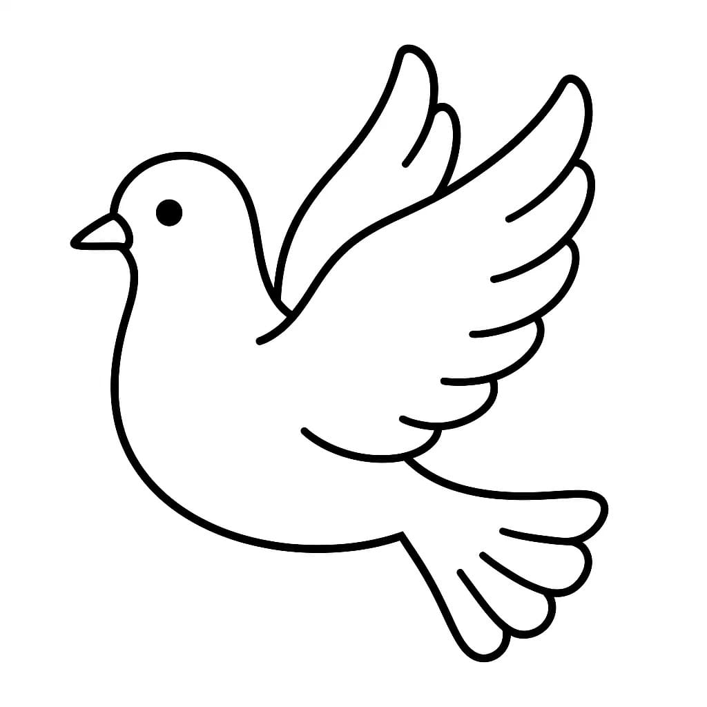 Holub zdarma základní omalovánka