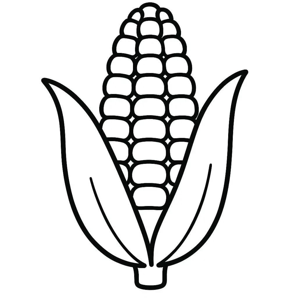 Kukuřice zdarma snadný omalovánka