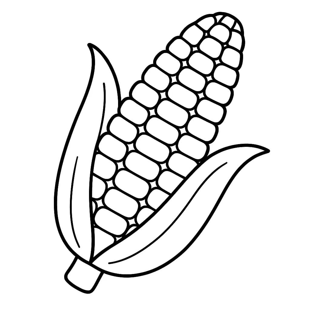 Kukuřice zdarma omalovánka