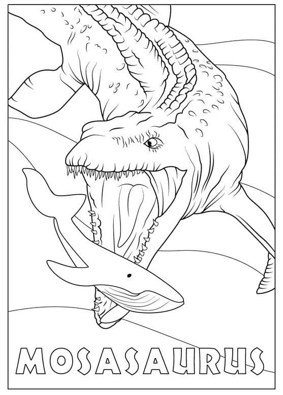 Mosasaurus pro děti omalovánka