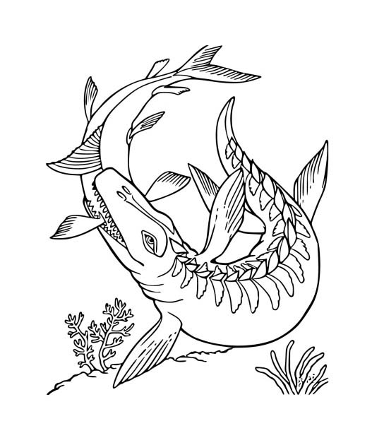 Mosasaurus zdarma snadný tisknutelné omalovánka
