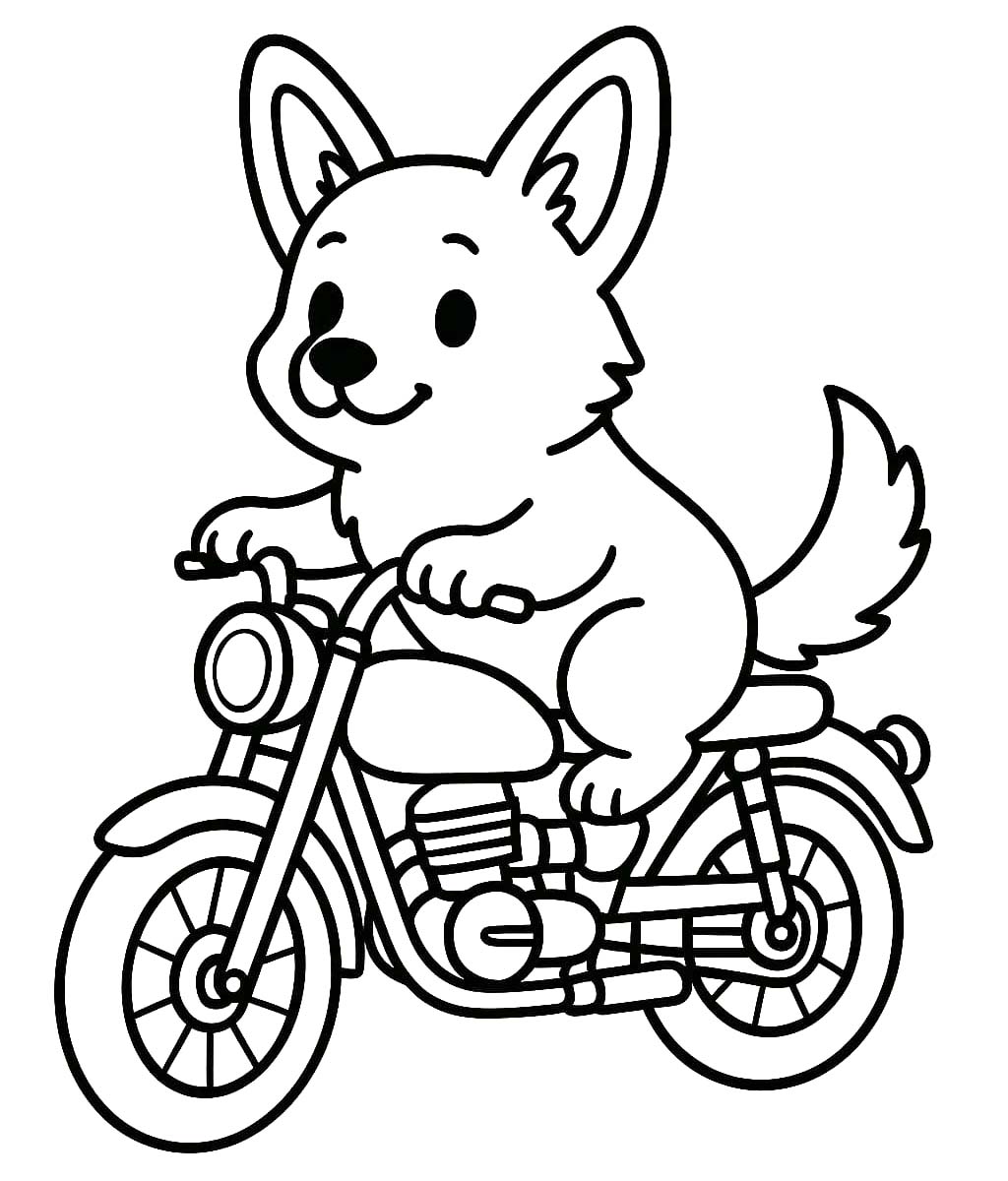 Nakreslete Corgi pro děti omalovánka