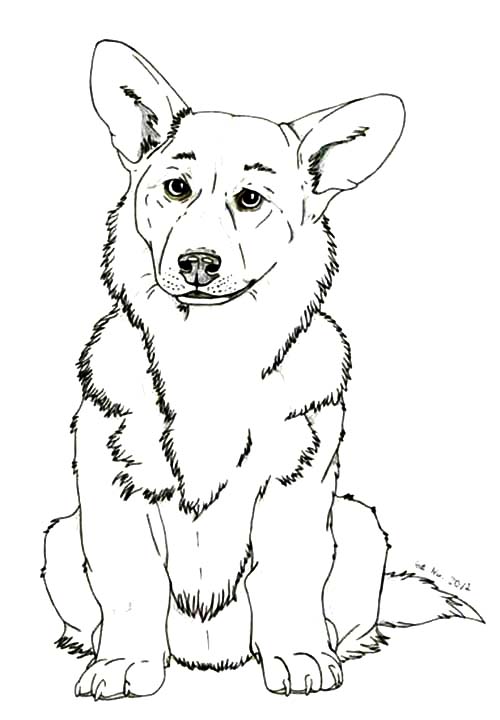 Nakreslete Corgi prostý tisknutelné omalovánka