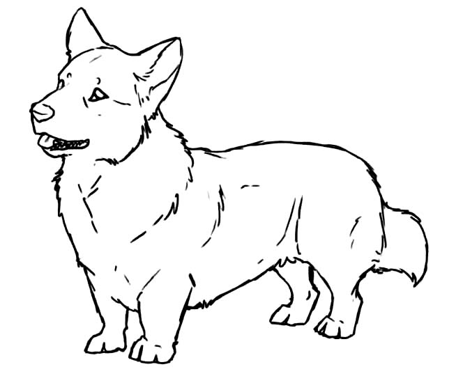 Nakreslete Corgi snadný tisknutelné omalovánka