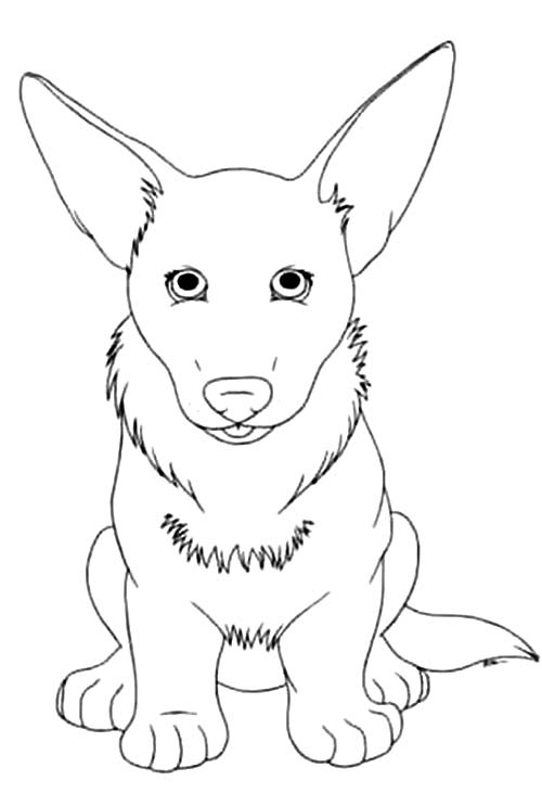 Nakreslete Corgi tisknutelné omalovánka