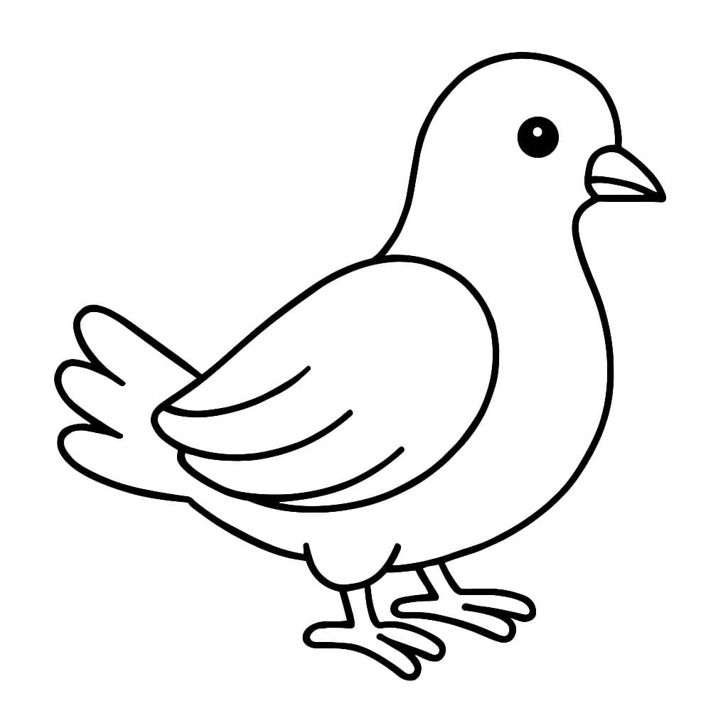 Nakreslete Holub k vytisknutí zdarma omalovánka