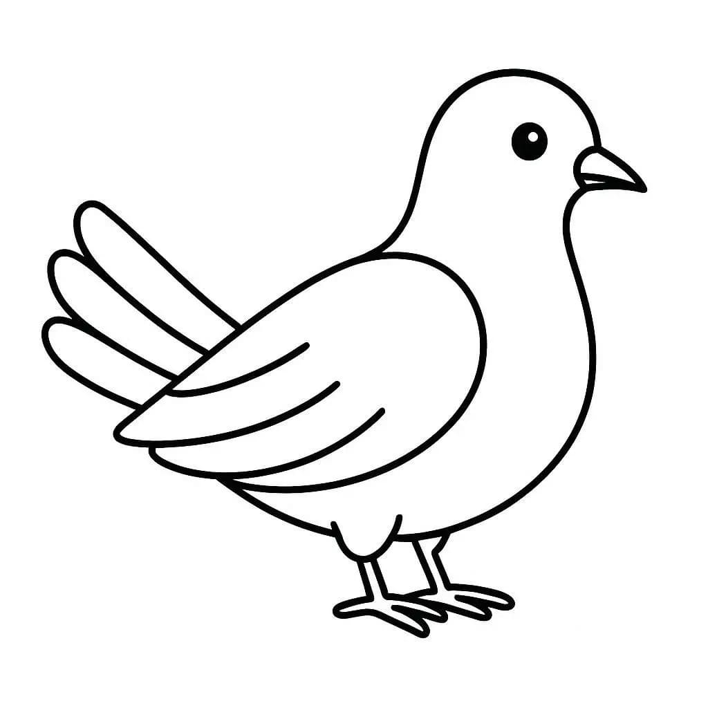 Nakreslete Holub prostý tisknutelné omalovánka