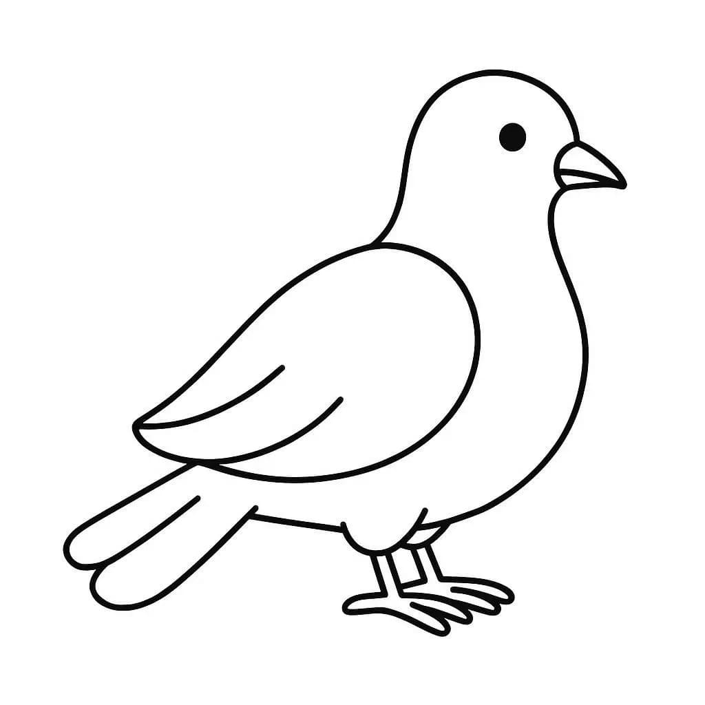 Nakreslete Holub prostý omalovánka