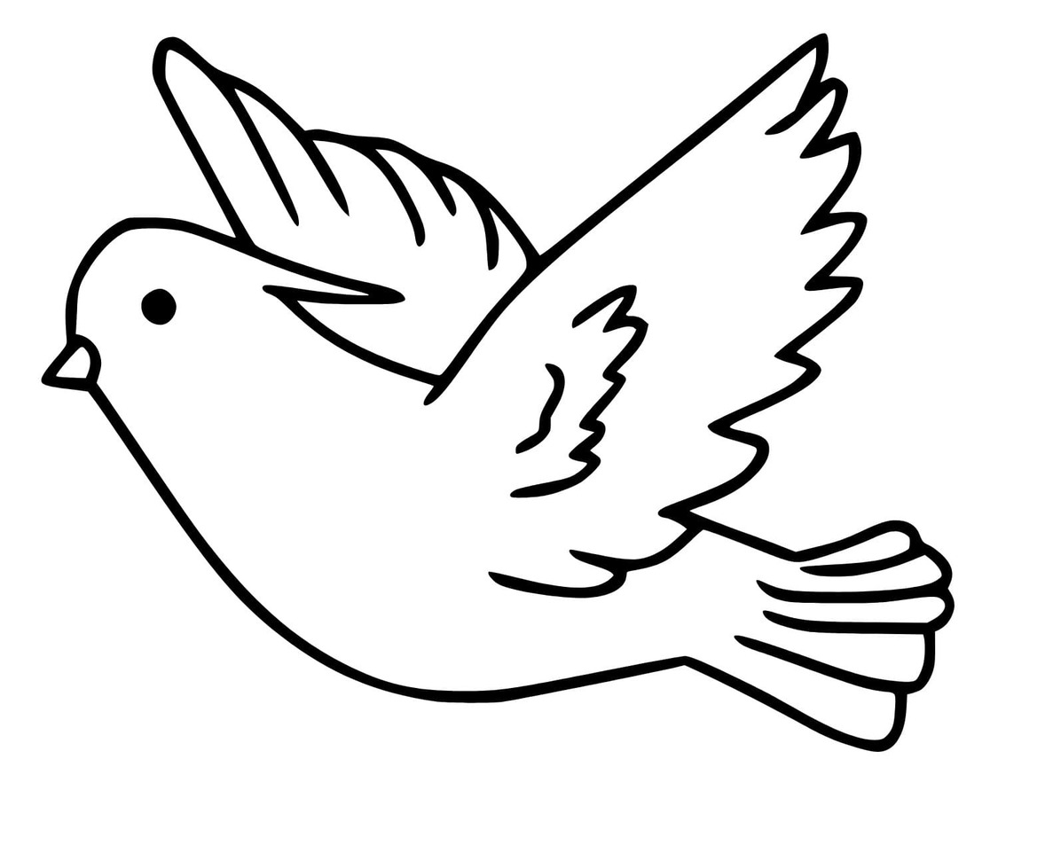 Nakreslete Holub snadný omalovánka