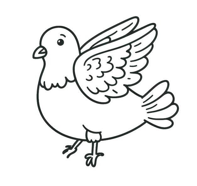 Nakreslete Holub základní tisknutelné omalovánka