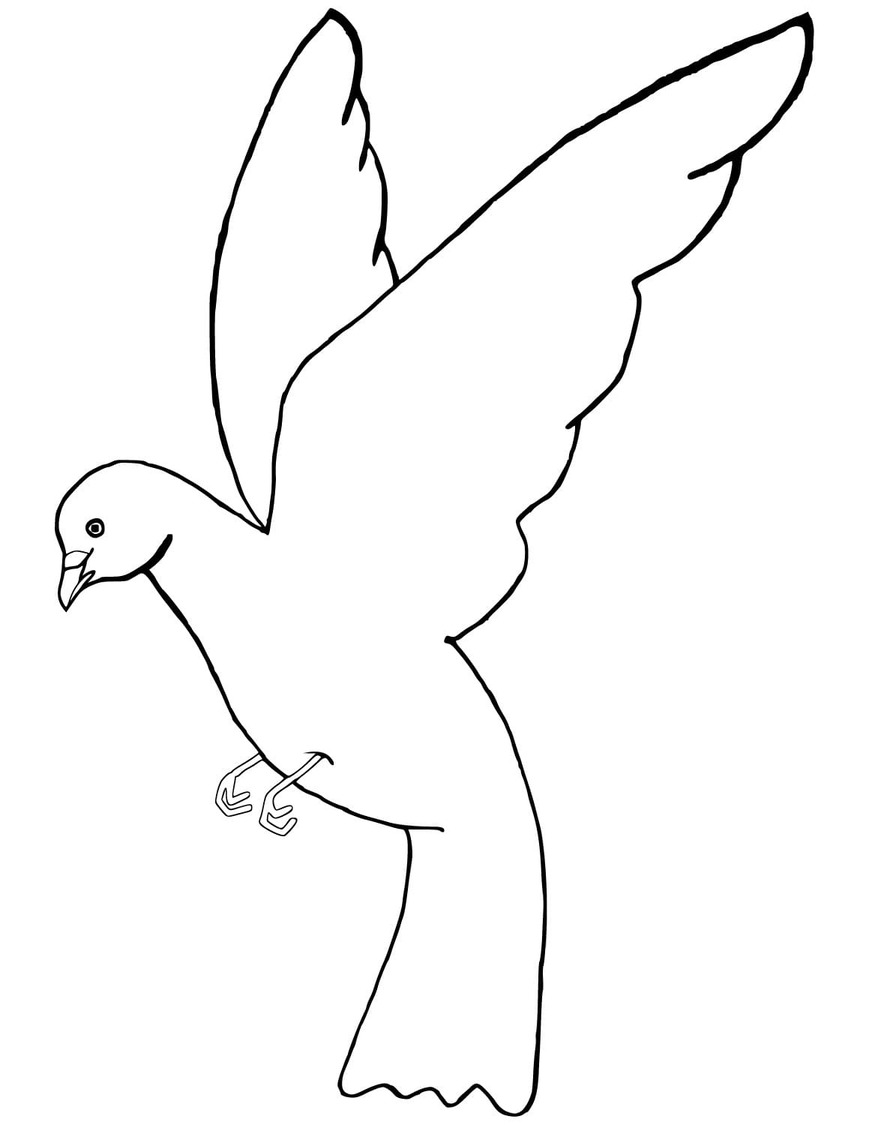 Nakreslete Holub zdarma prostý omalovánka