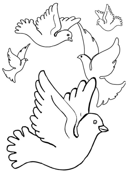 Nakreslete Holub zdarma snadný tisknutelné omalovánka