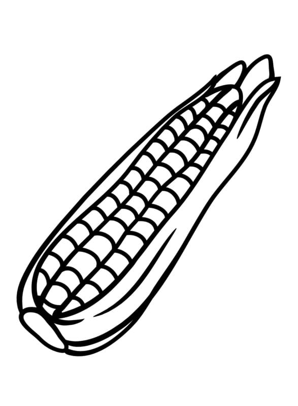 Nakreslete Kukuřice k vytisknutí zdarma omalovánka