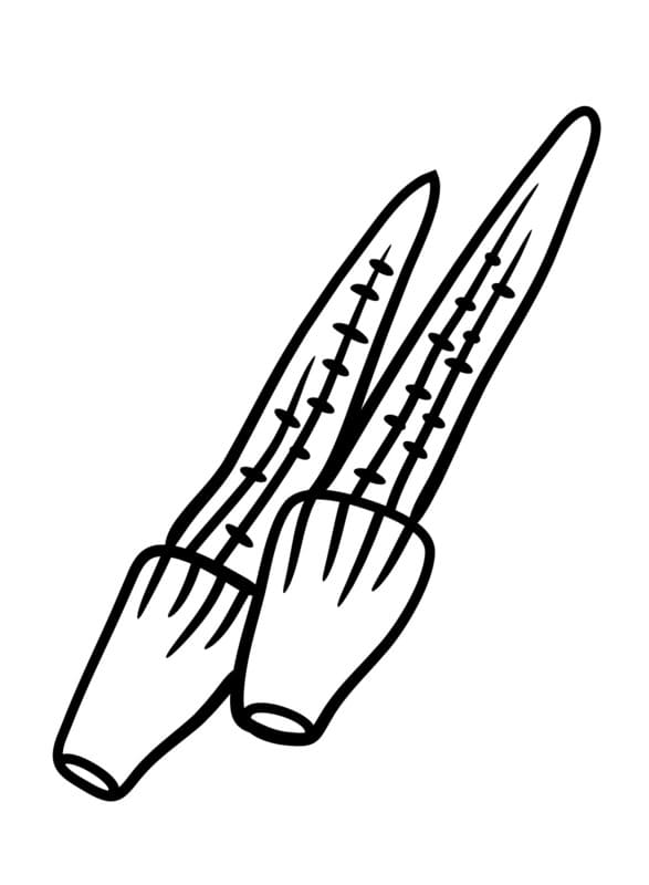 Nakreslete Kukuřice k vytisknutí omalovánka