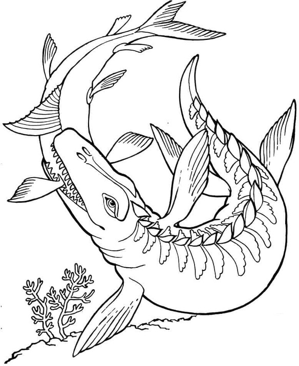 Nakreslete Mosasaurus zdarma snadný tisknutelné omalovánka