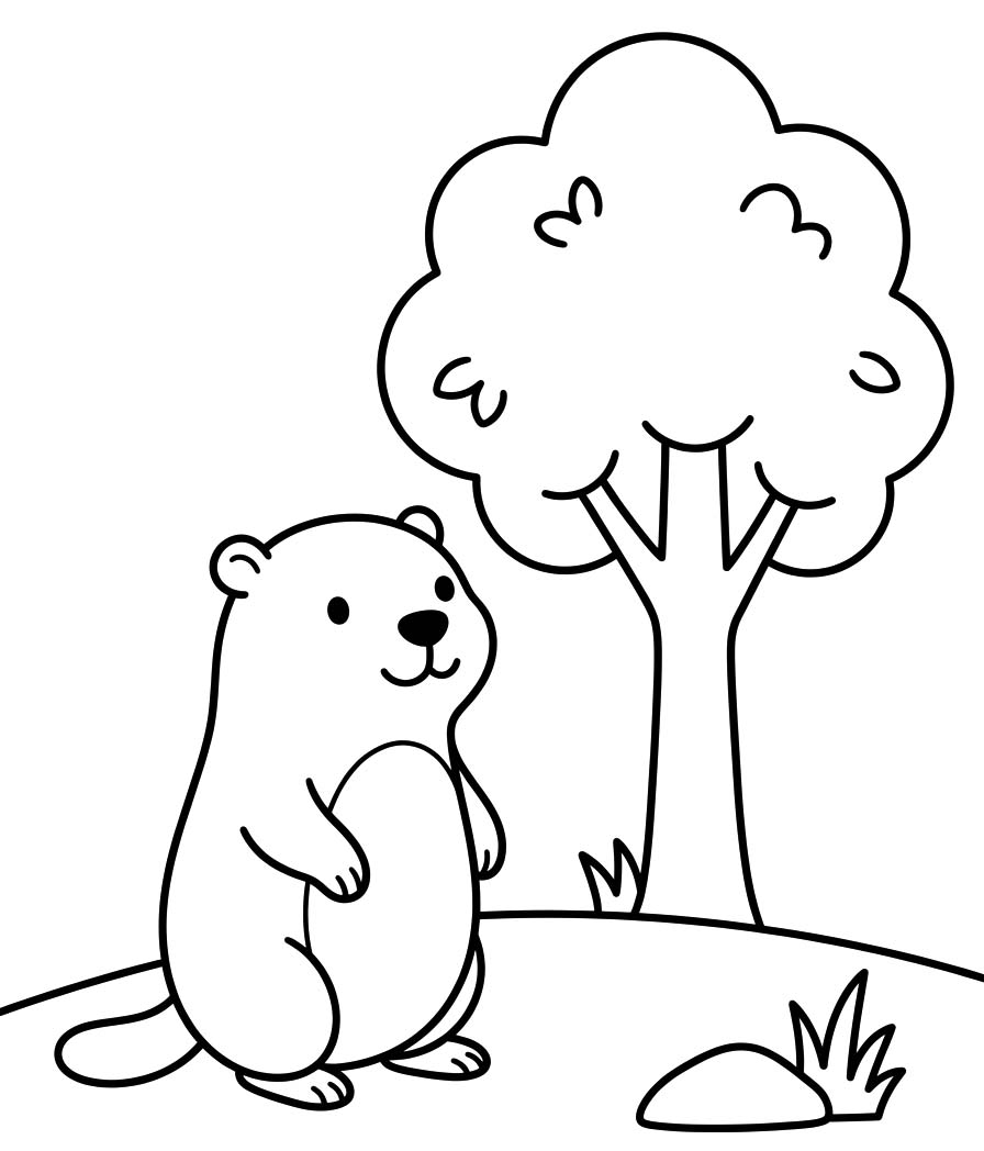 Nakreslete Svišť zdarma prostý tisknutelné omalovánka