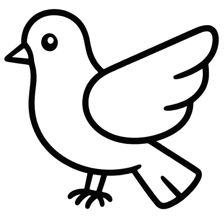 Obraz Holub tisknutelné omalovánka