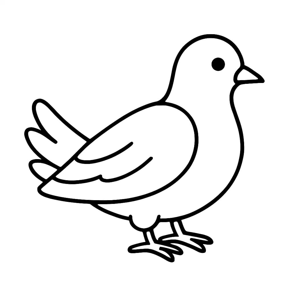 Obraz Holub zdarma tisknutelné omalovánka