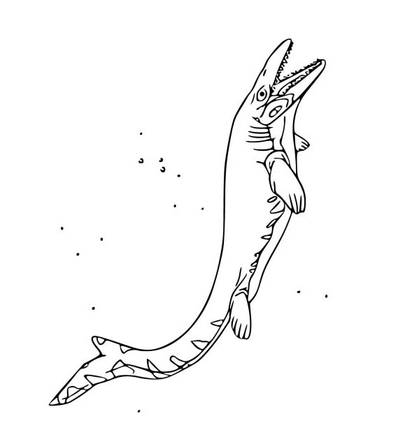 Obraz Mosasaurus zdarma tisknutelné omalovánka