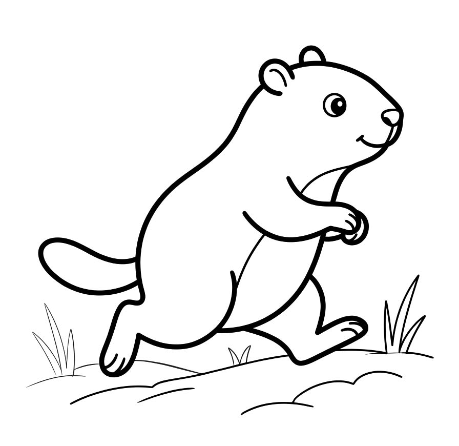 Svišť k vytisknutí omalovánka