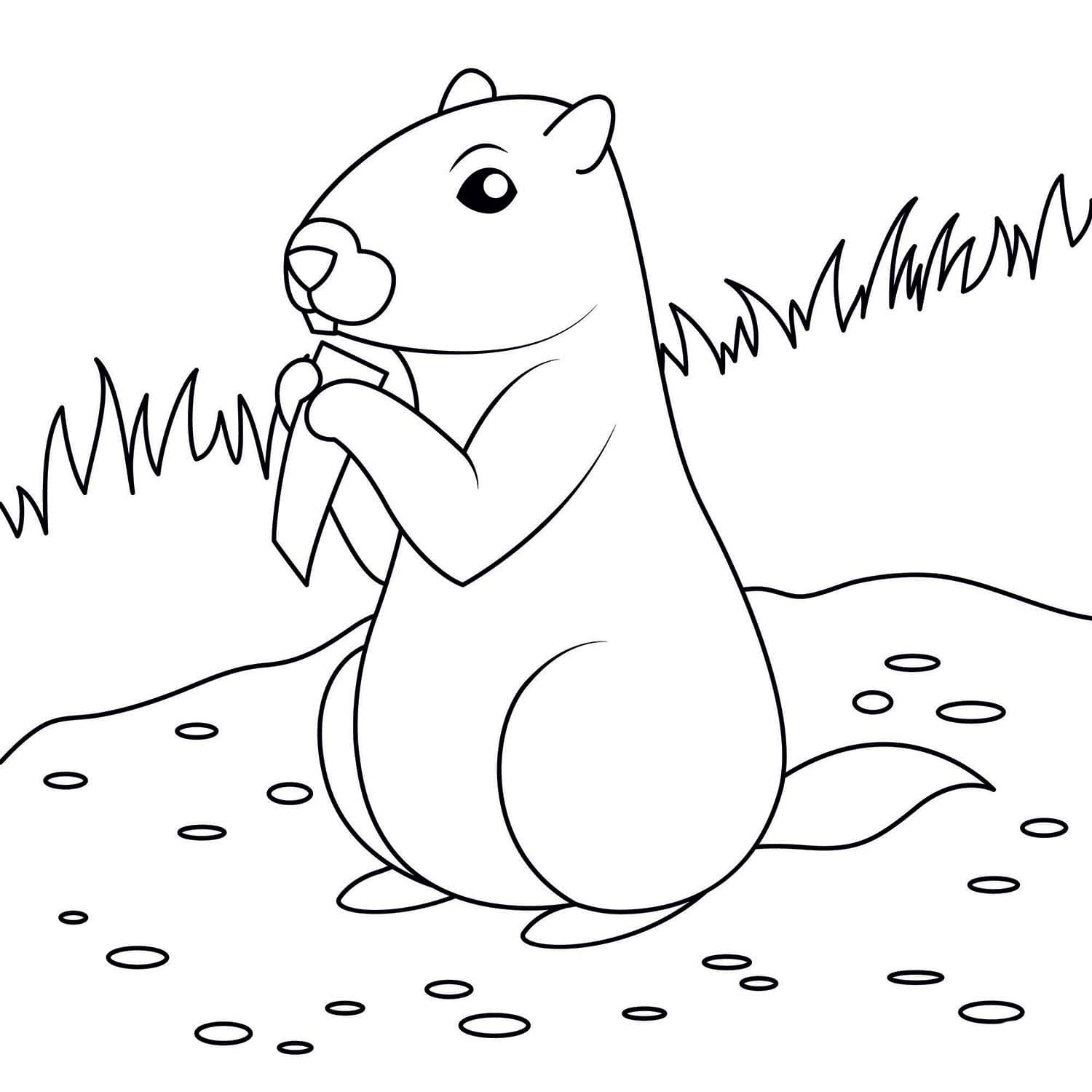 Svišť zdarma prostý tisknutelné omalovánka