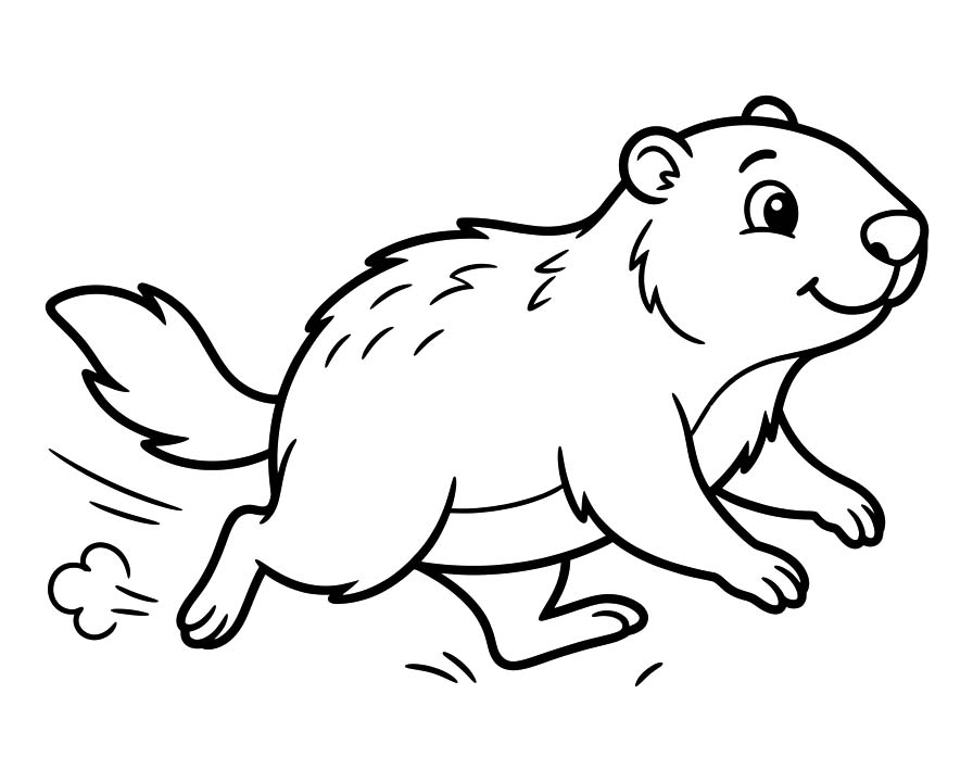 Svišť zdarma omalovánka