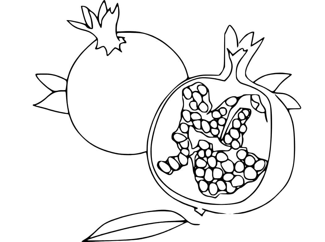Nakreslete Granátové Jablko snadný tisknutelné omalovánka