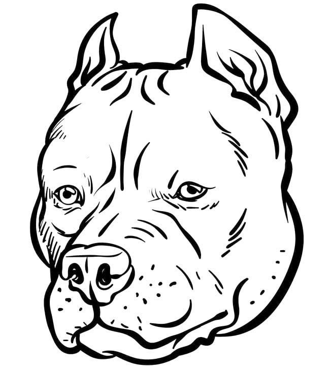 Nakreslete Pitbull pro děti omalovánka