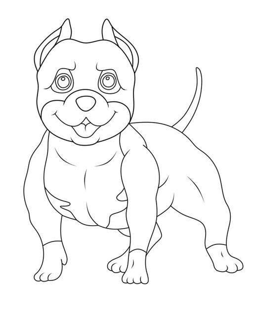 Nakreslete Pitbull prostý tisknutelné omalovánka