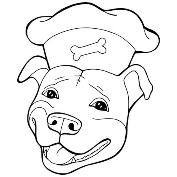 Nakreslete Pitbull prostý omalovánka