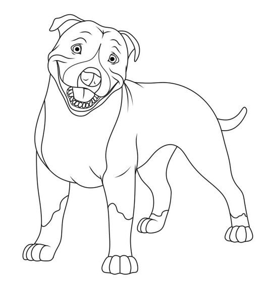 Nakreslete Pitbull snadný tisknutelné omalovánka