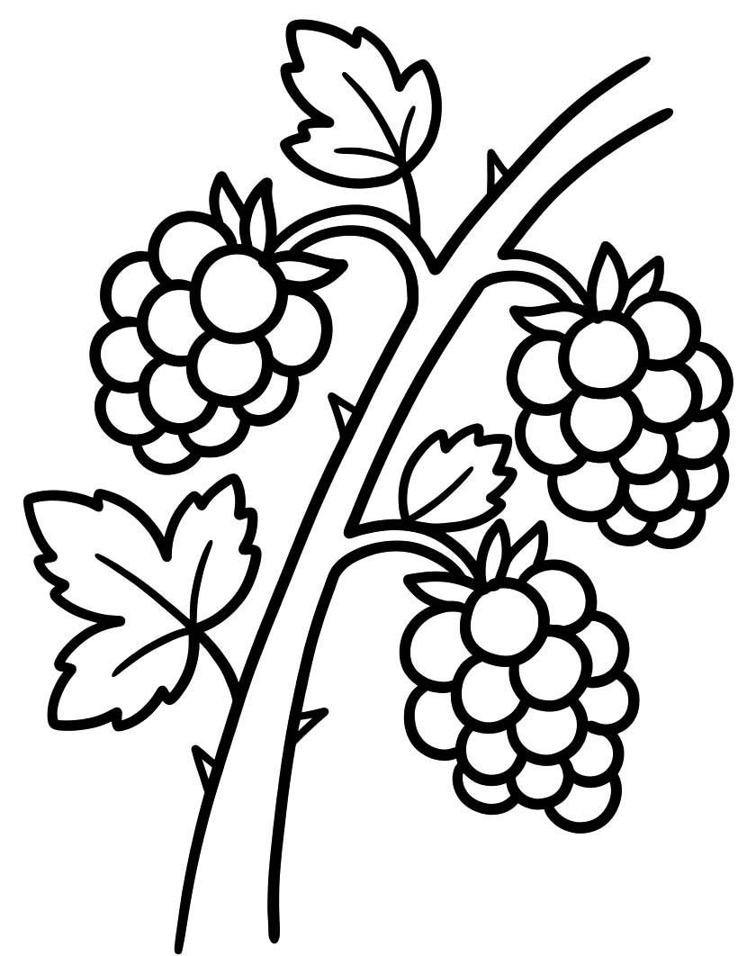 Ostružina