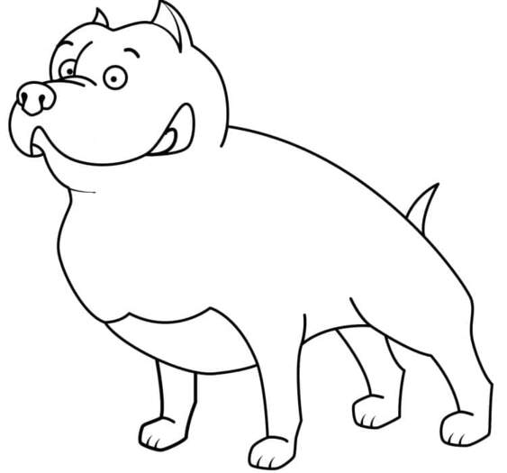 Pitbull zdarma snadný omalovánka