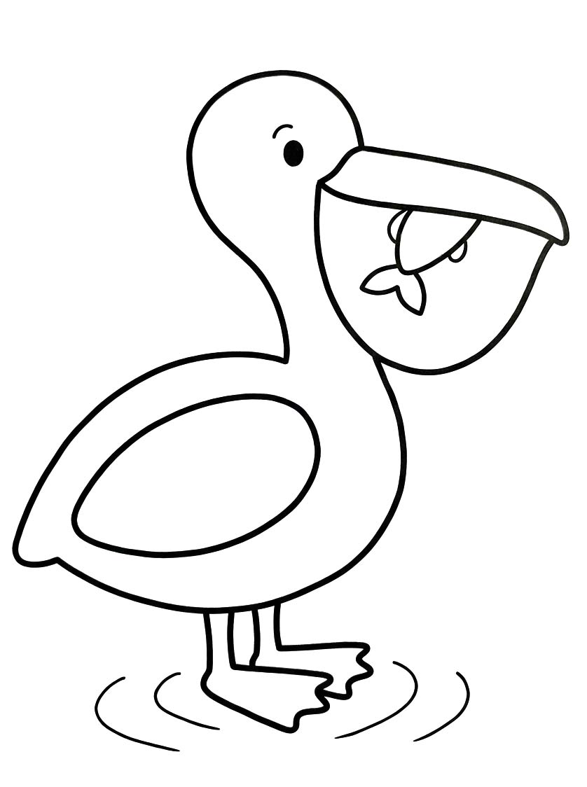 Pelikán pro děti omalovánka