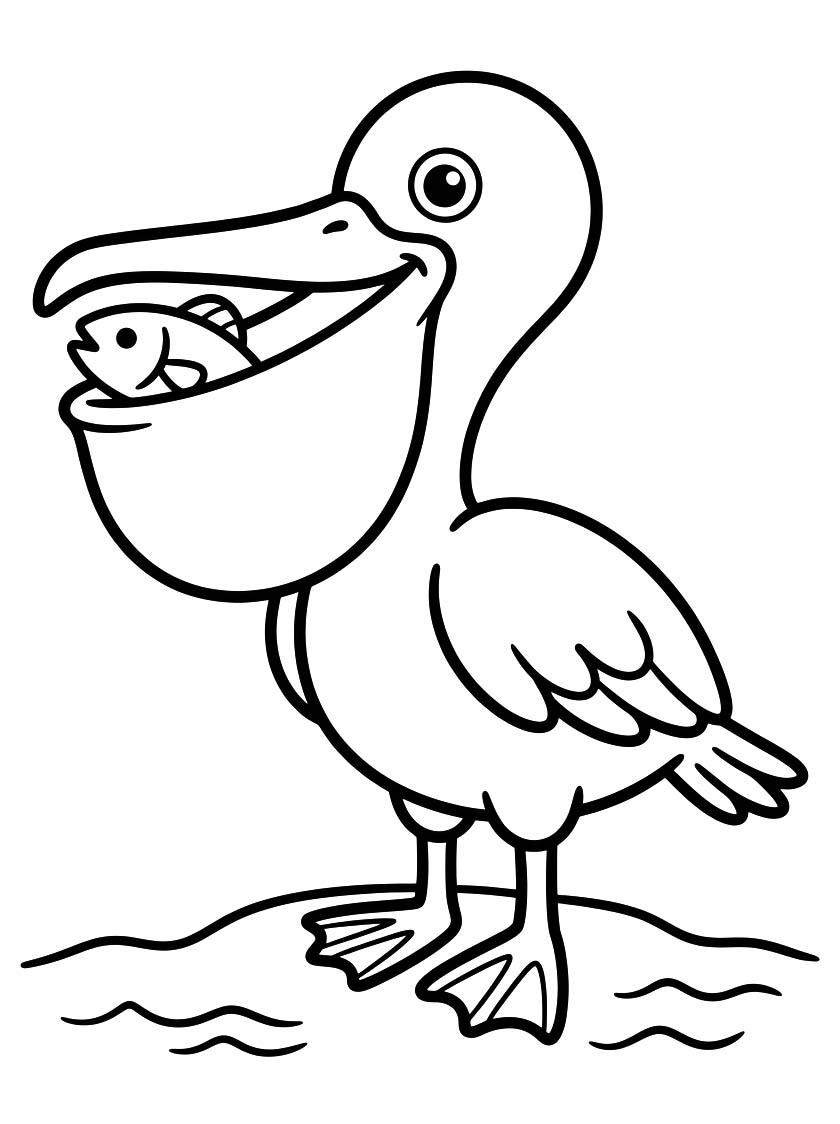 Pelikán zdarma pro děti omalovánka