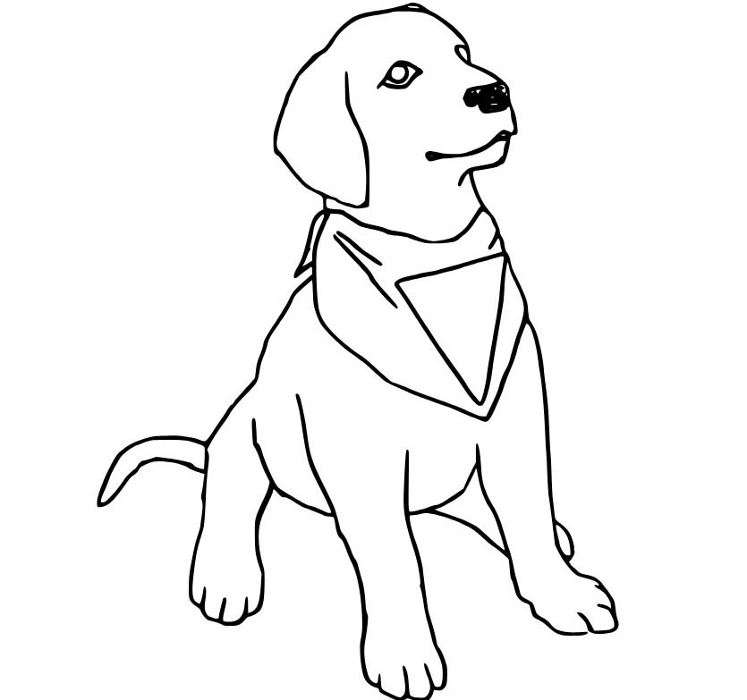 Labrador k vytisknutí zdarma omalovánka