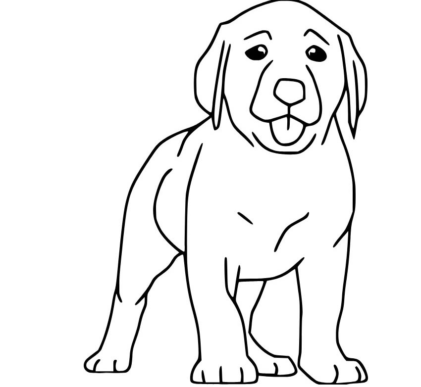 Labrador prostý tisknutelné omalovánka