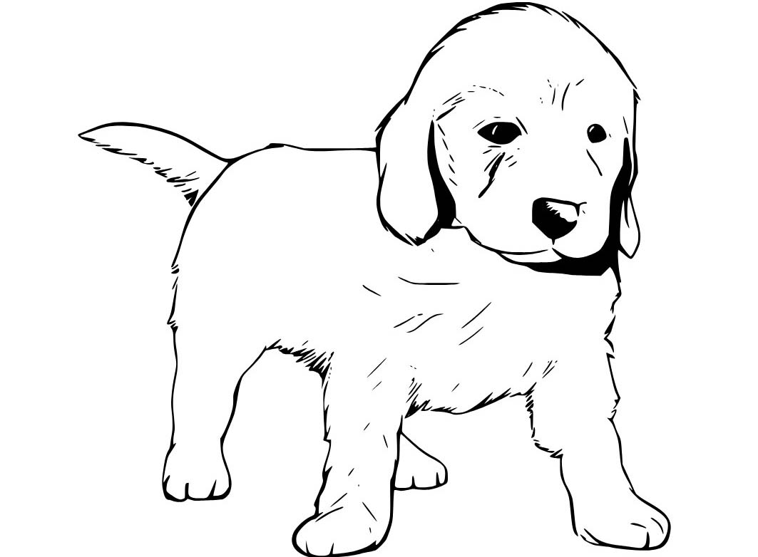 Labrador snadný tisknutelné omalovánka