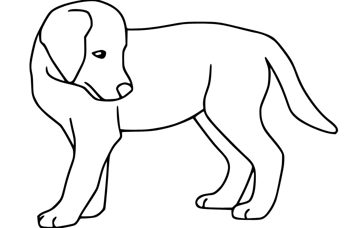 Labrador tisknutelné omalovánka