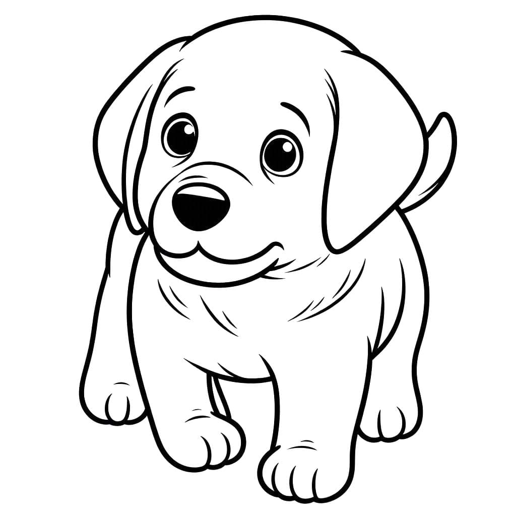 Labrador zdarma snadný tisknutelné omalovánka