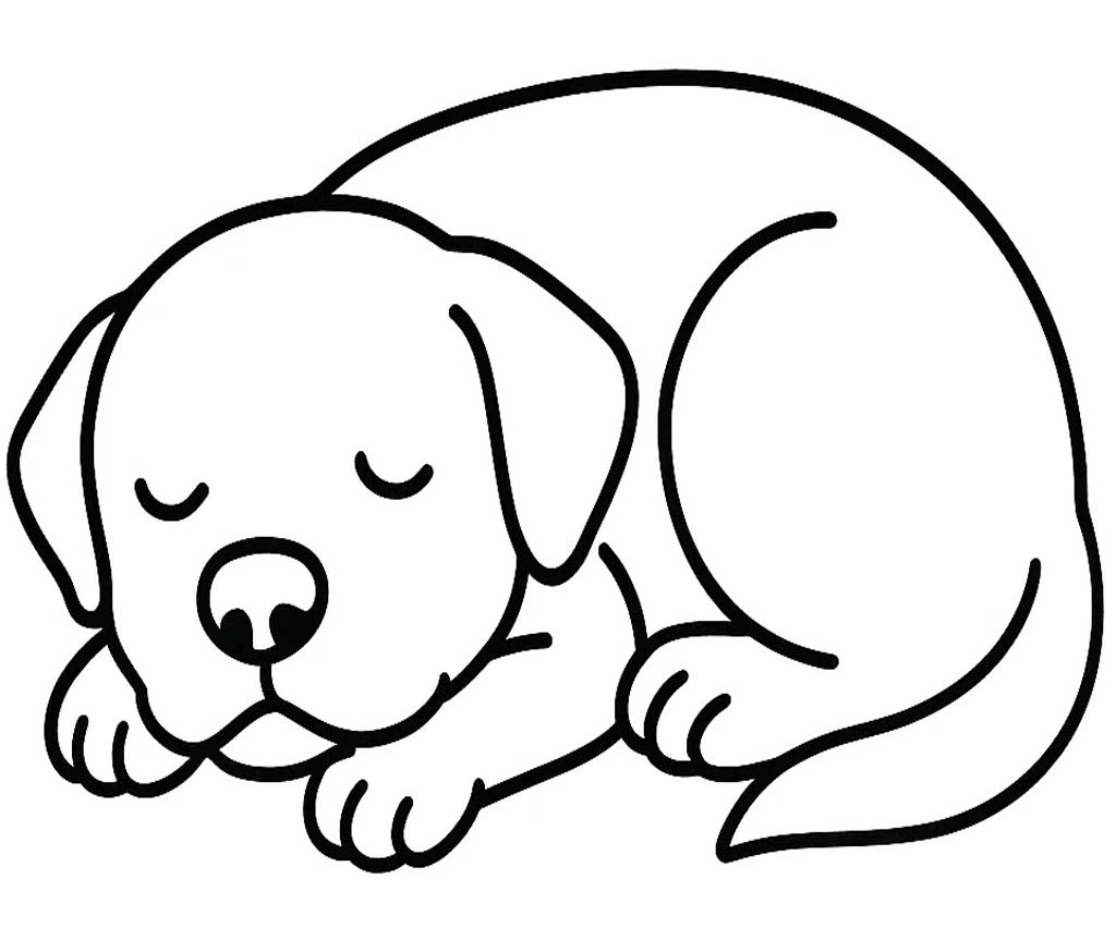 Labrador zdarma tisknutelné pro děti omalovánka