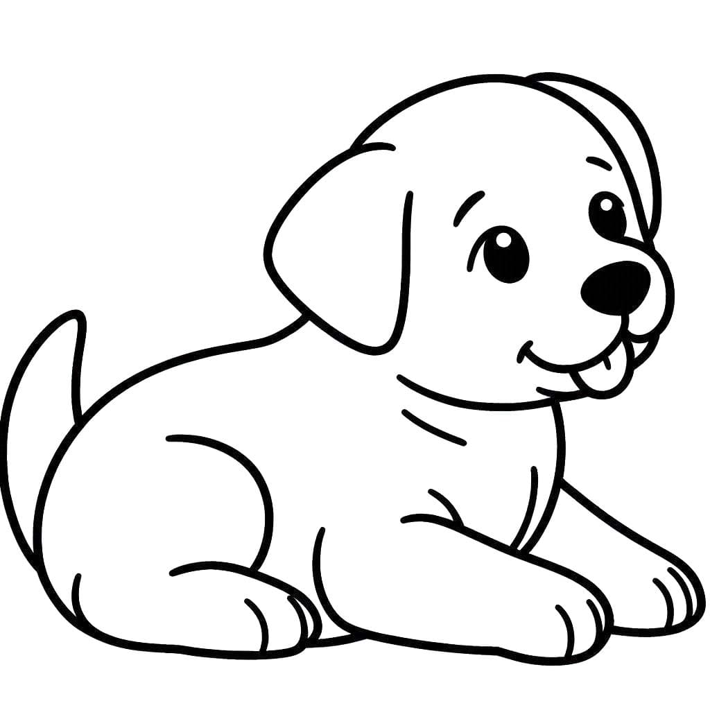 Nakreslete Labrador pro děti omalovánka
