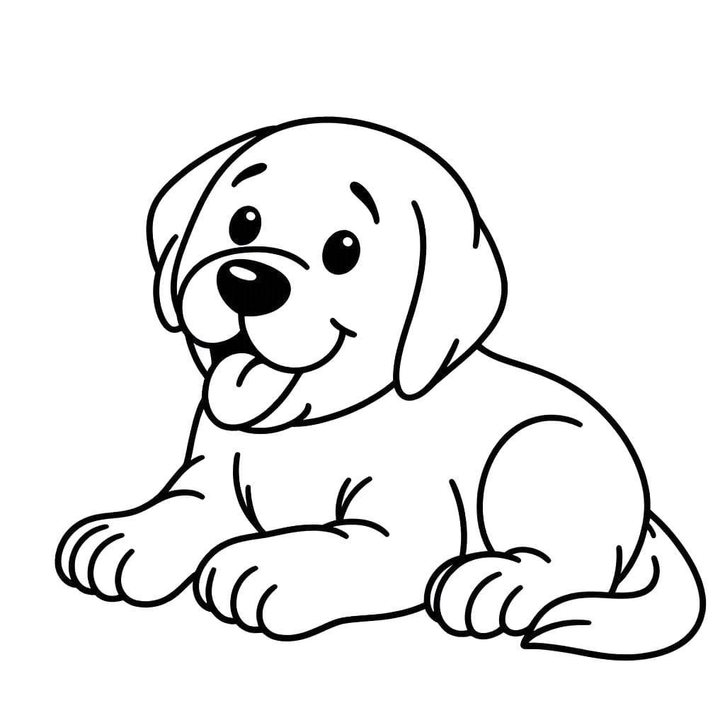 Nakreslete Labrador snadný omalovánka