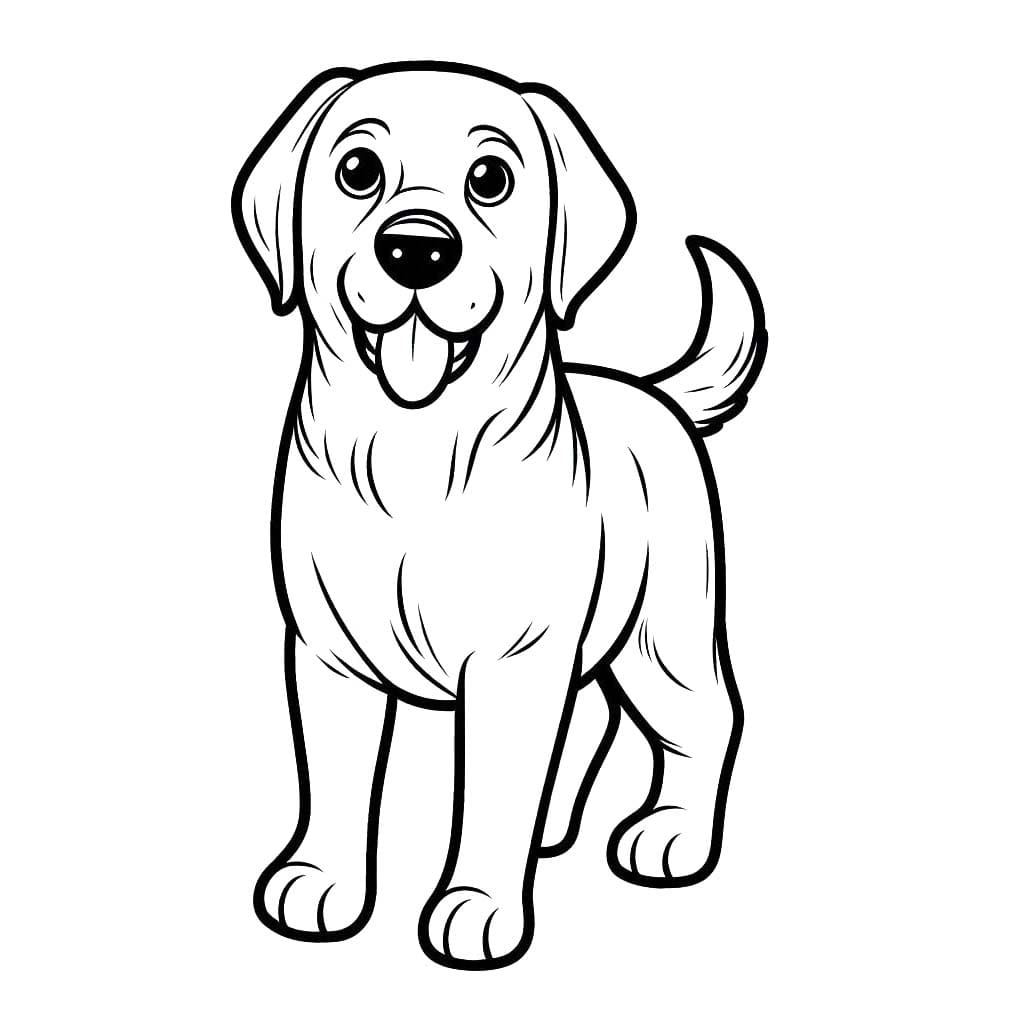 Nakreslete Labrador základní tisknutelné omalovánka