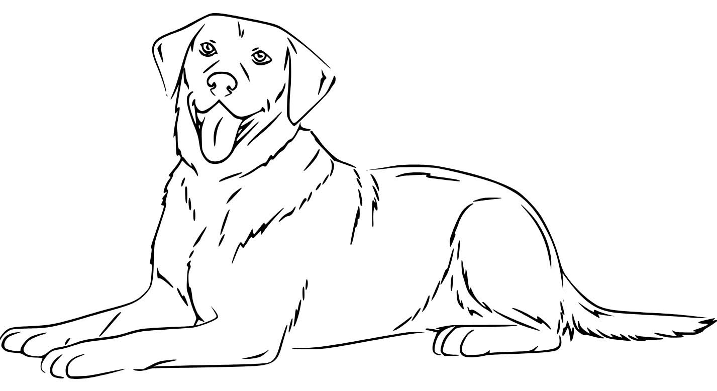 Nakreslete Labrador základní omalovánka