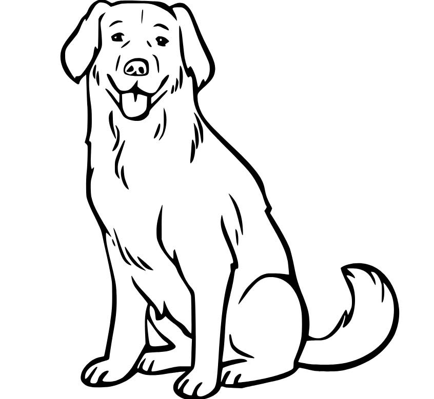 Nakreslete Labrador zdarma prostý omalovánka