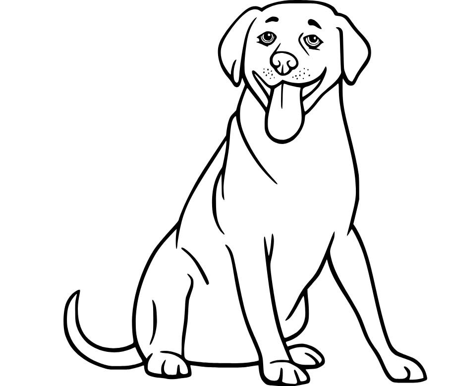Nakreslete Labrador zdarma snadný omalovánka