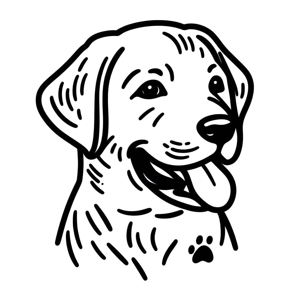 Nakreslete Labrador zdarma omalovánka